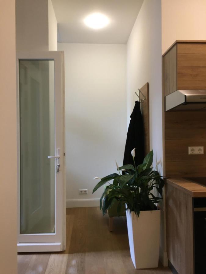 Perkeo Apartments ハイデルベルク エクステリア 写真